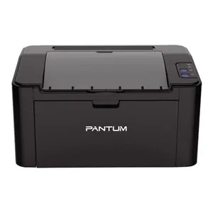 Замена памперса на принтере Pantum P2207 в Санкт-Петербурге
